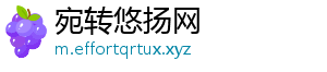 宛转悠扬网